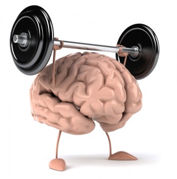 brain-fitness-347x350.jpg