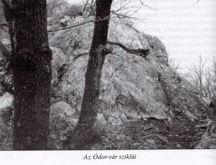 img8421.jpg